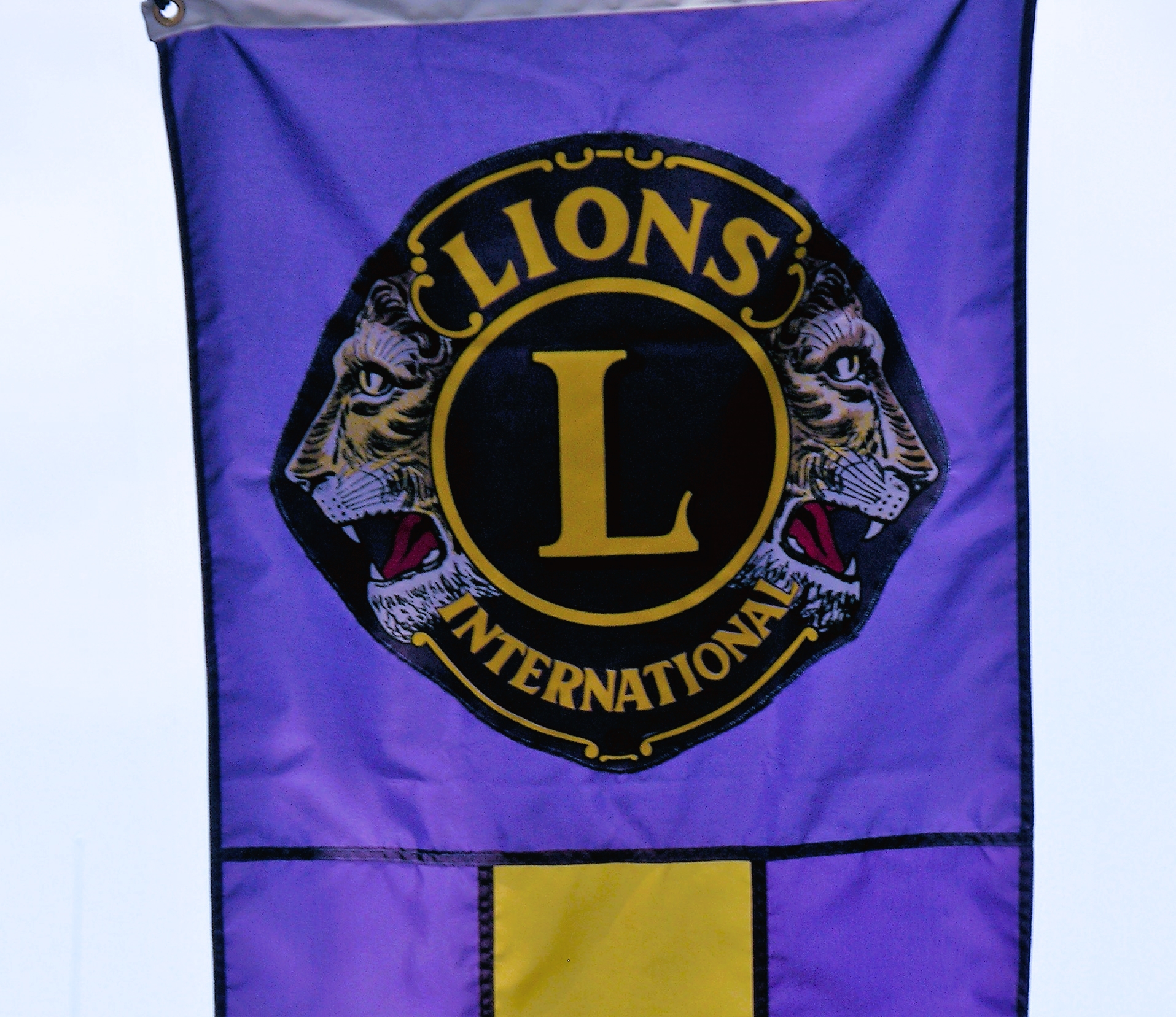LIONS Banner